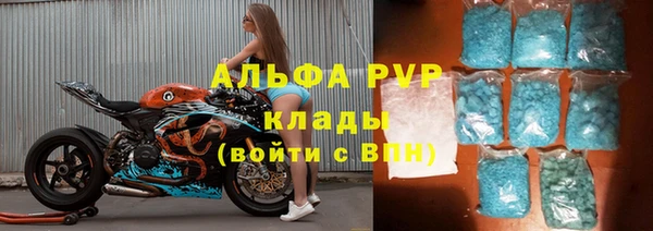 apvp Богданович